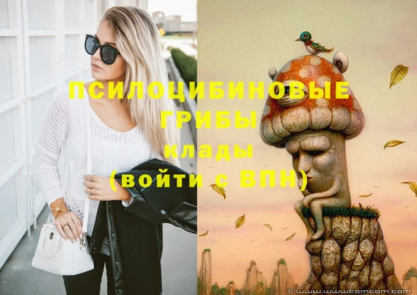спиды Алзамай